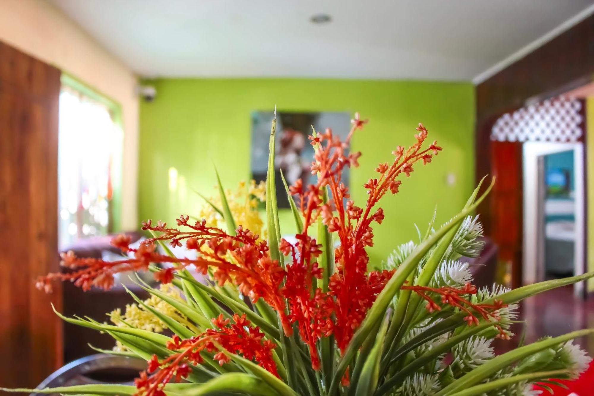 Hostal Casa Mauro 호텔 모요갈파 외부 사진